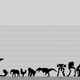 Illustration for article titled Heres the ultimate science fiction size comparison chart